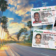 FLORIDA DRIVER’S LICENSE GETS A NEW LOOK